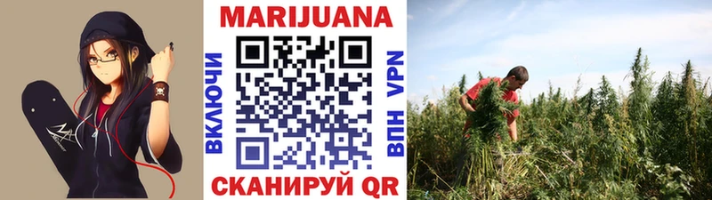 Продажа наркотиков Дно Каннабис Кокаин ГАШ Псилоцибиновые грибы Меф мяу мяу