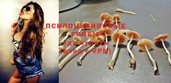 mix Магас