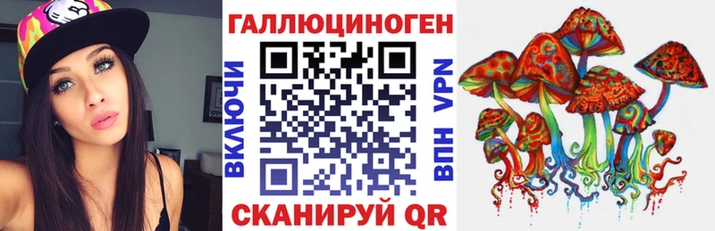 где найти   Дно  Псилоцибиновые грибы Cubensis 